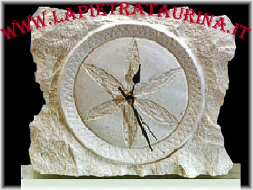 Orologi in pietra