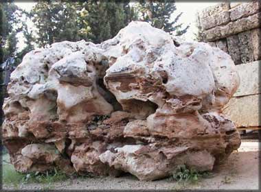 Sassi da giardino