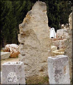 Sassi ornamentali per giardino