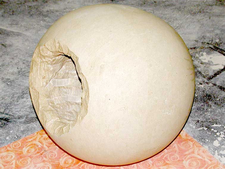 Terminale per colonne in pietra